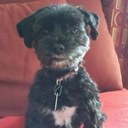 Connie Thomas - @mcthomas1299 - Twitter