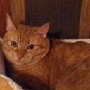 Jon Kaufmann - @FearMcCosh - Twitter