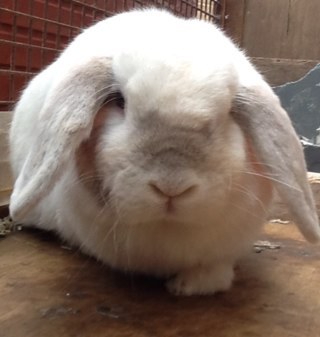 MarkWhyle's profile picture. 