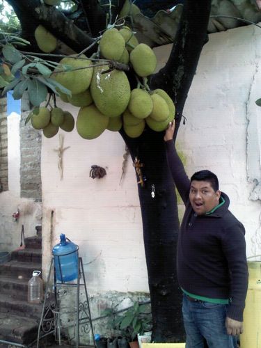 ChavaXolo's profile picture. 