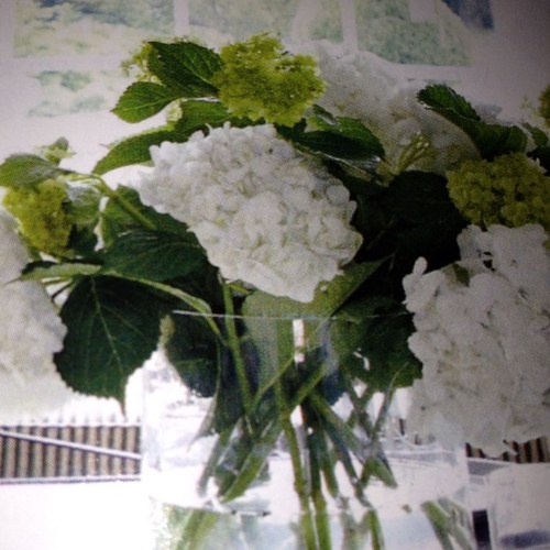 judyppollard's profile picture. 