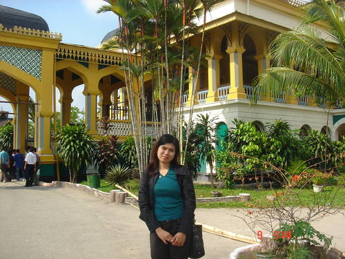 nice_ika's profile picture. 