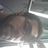 Turnd_up's profile image