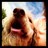 Debs2See's profile image