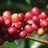 cafestodgo's profile image