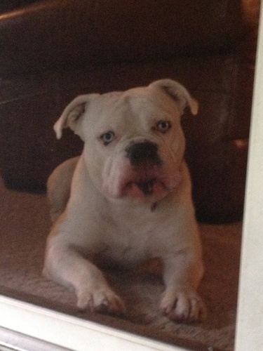 garzaiscool's profile picture. 