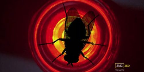 kafkas_gatorade's profile picture. Crystal Ship Contamination: BrBa Critical Studies & Meta.