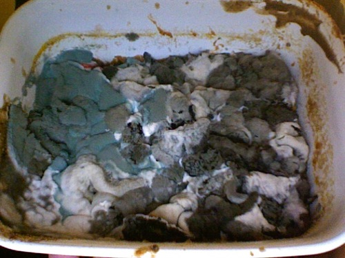 BlgmsFamusPantr's profile picture. 