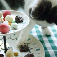 yuki (@yukimarudono) 's Twitter Profile Photo