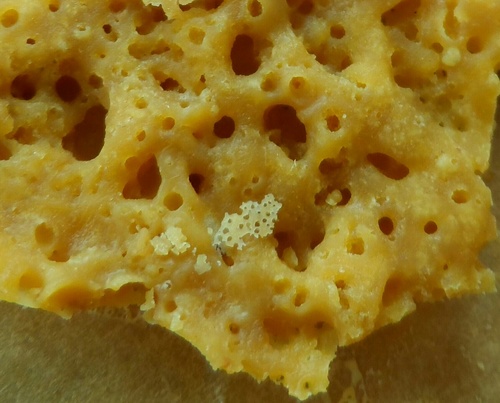 waxzombie710's profile picture. prop 215 patient/grower/blower;) graffiti #OilRigCrew 710/420