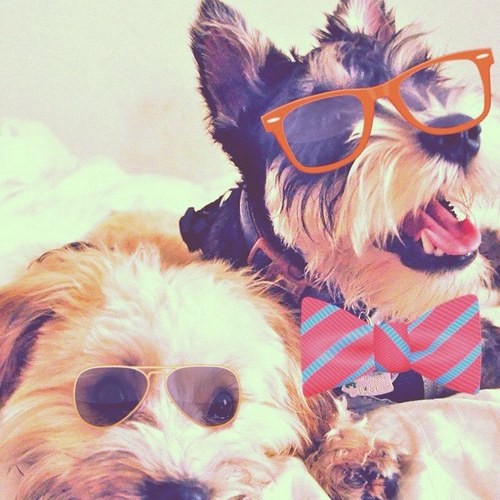 weirdkid1234's profile picture. the weirdest kid in my clas and proud of it!=)