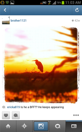 wjsisc's profile picture. 