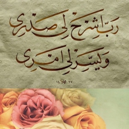 الكلام الطيب أغصان تعانق السماء والوفاء خير من كل عطاء والتواصل تاج الكرماء والحب في الله هدية رب السماء