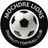 MochdreLionsDFC's profile image
