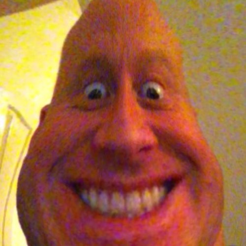 seelystwit's profile picture. 