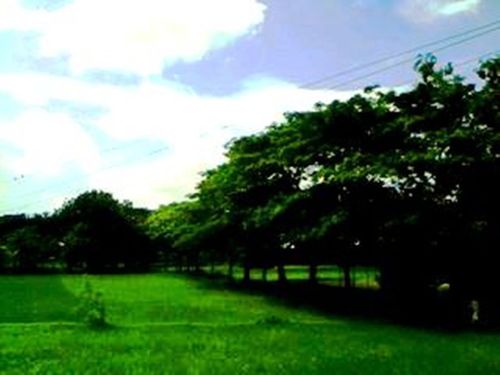 Bachelor and Masters
University of Dhaka
Dhaka, Bangladesh