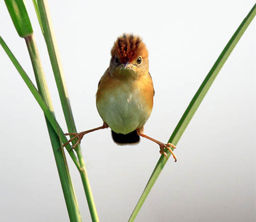 a_reminder_for's profile picture. 