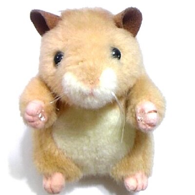 シロ