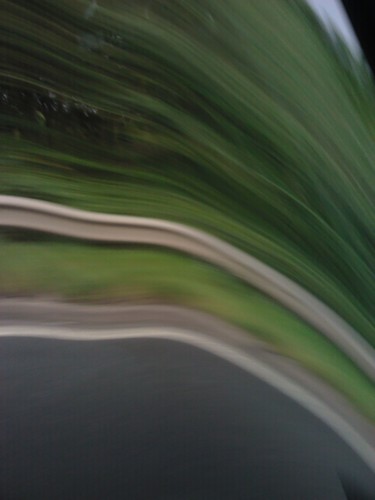 derekthetree's profile picture. 