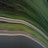 derekthetree's profile image