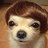 loislousan's profile image