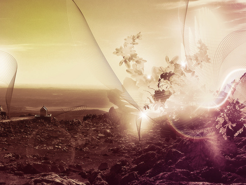 noiz's profile picture. 