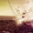 noiz's profile image