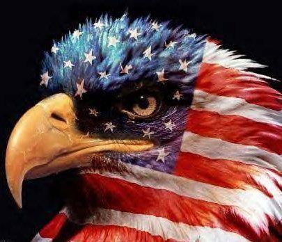 Mark_Hart55's profile picture. Truth,Justice and the American way. Yes I'm a die-hard Comon sense Conservative American male who loves great music, movies, politics, women and cats !