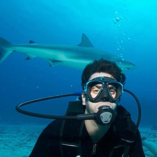 IB Math HL Teacher at American School of Doha, Diver, traveler. A good player in the game of live!!