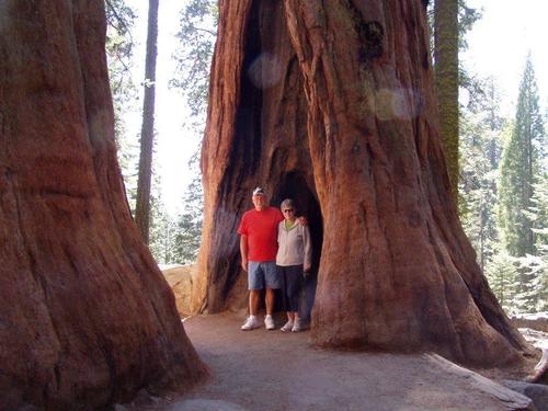 Stan057's profile picture. 