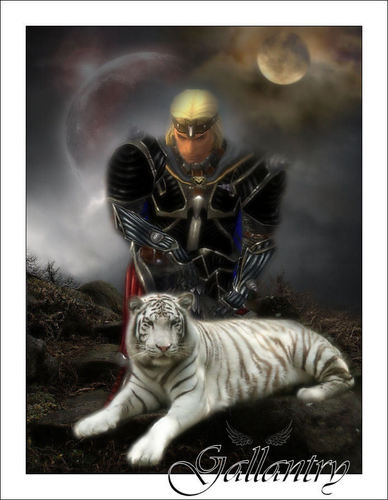 UrsaVentura's profile picture. NICE Co-Leader