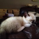 Karen Deckard - @hogandykenzie - Twitter