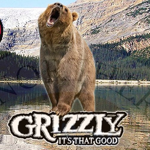 CopenGrizz's profile picture. Dips good, Snuff said.