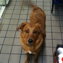 Brett Corbin - @corbin_brett - Twitter