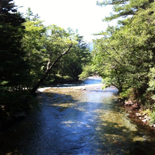 esmap1's profile picture. 