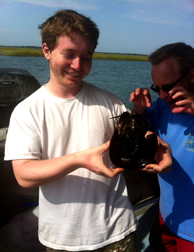 juliantflynn's profile picture. Internet marketing & advertising, specializing in linkbuilding.