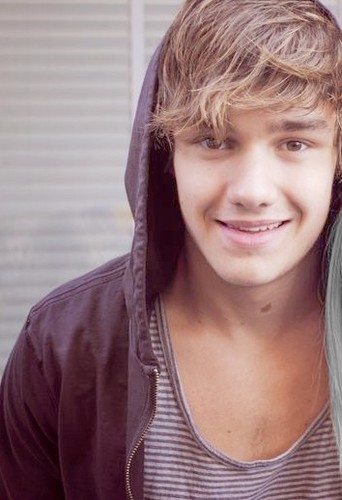Meu nome é Liam tenho 19 anos nasce na inglaterra faço parte da banda one direction, toco violão e piano, minha cor favorita é roxo.