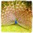 suzynowlan's profile image