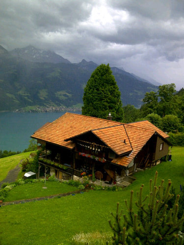 nawal543's profile picture. ‏نوال العيد