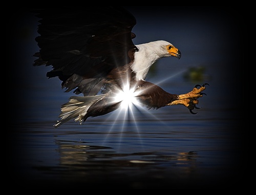 Life gets radical. Life is beautiful. Life is your gift! Spend it with MUCH PRAISE! to GOD! #Perfect #Trust casts out fear! | @WherIsApCarolK1-=:) Zoe ❧†❧ Ruach
