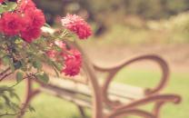 _Soodaagaghi's profile picture. Bio Presto