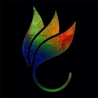 EVOLUTION_skateshop (@evolutionsk8) 's Twitter Profile