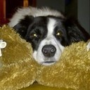 Fran Agnew - @FranAgnew1 - Twitter