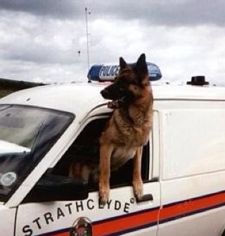 billyv119's profile picture. Retired Land Shark Keeper