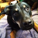 Elise Levesque - @undergroundEeee - Twitter