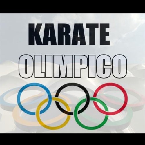 karatesarcelles's profile picture. 