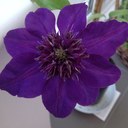 Julie Perrin - @JuliePerrin3 - Twitter