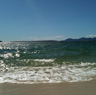 CalamityNat's profile picture. 