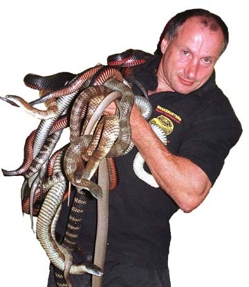 I am the snakeman and the snakebuster - beware of imitators who kill snakes with metal tongs