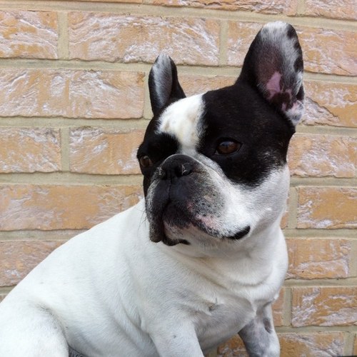 AnVolz's profile picture. 